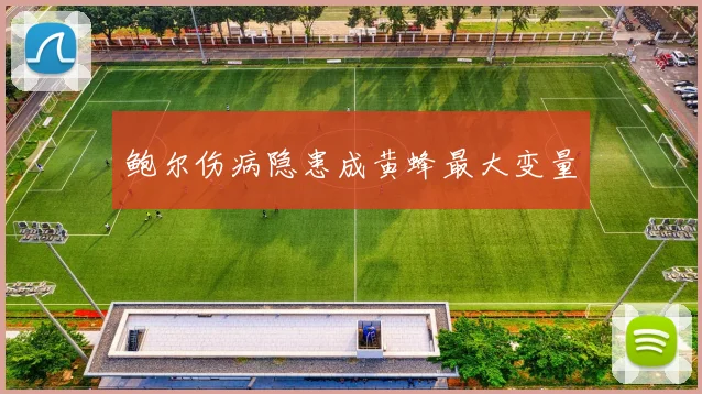 鲍尔伤病隐患成黄蜂最大变量