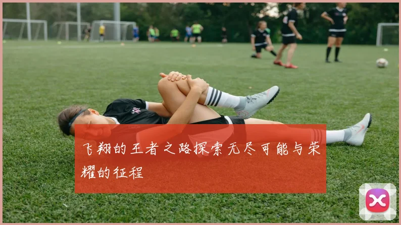 飞翔的王者之路探索无尽可能与荣耀的征程