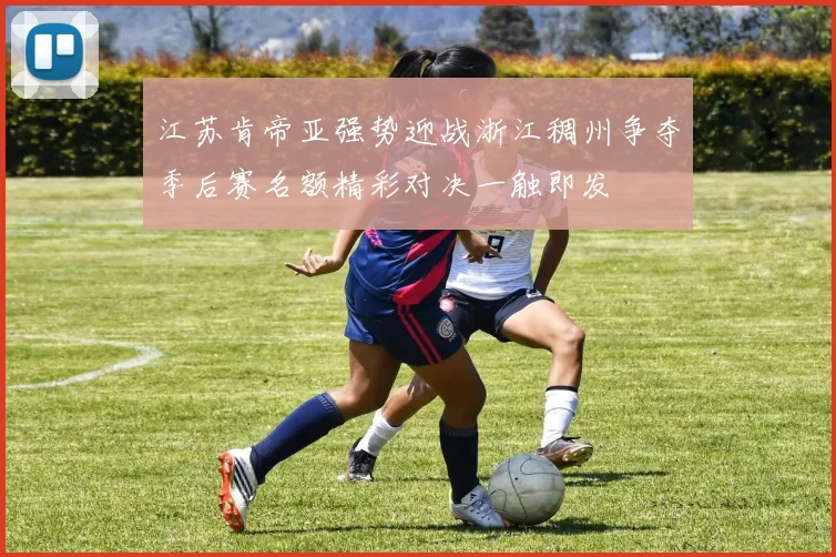 江苏肯帝亚强势迎战浙江稠州争夺季后赛名额精彩对决一触即发