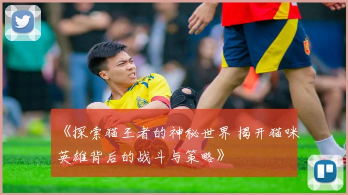 《探索猫王者的神秘世界 揭开猫咪英雄背后的战斗与策略》